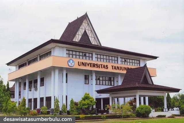 Rekomendasi 5 Universitas Negeri di Kalimantan Terbaik