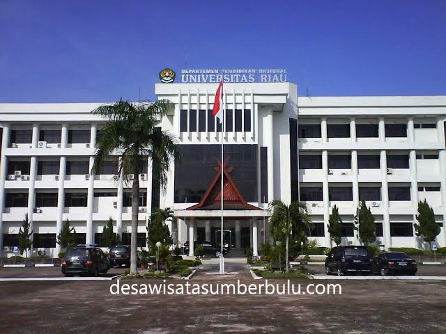 Daftar 20 Kampus Terpopuler di Sumatera Versi uniRank 2022